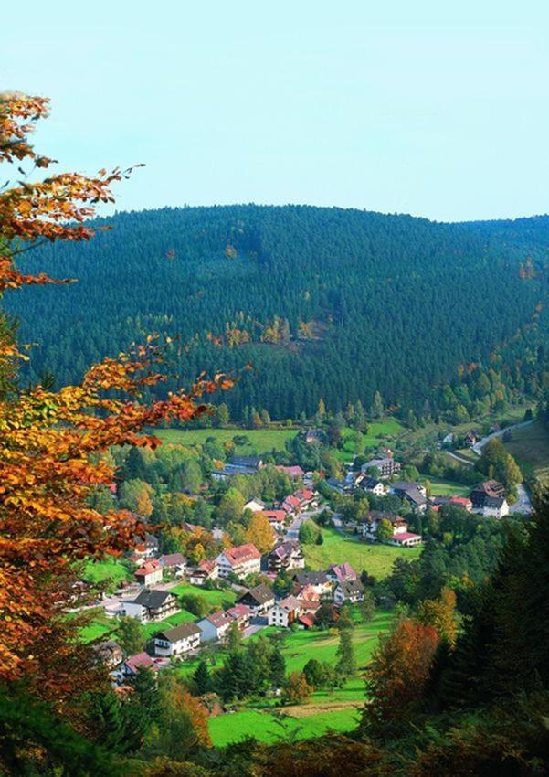Hotel Schwarzwaldhof Enzklösterle Exteriér fotografie