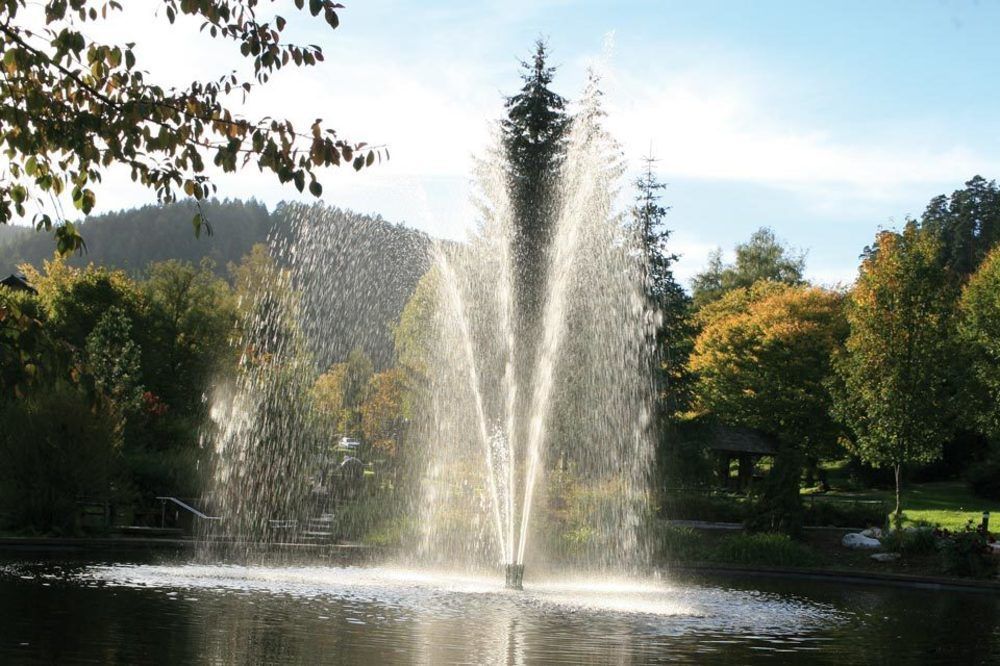 Hotel Schwarzwaldhof Enzklösterle Exteriér fotografie